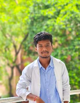 Koushik roy