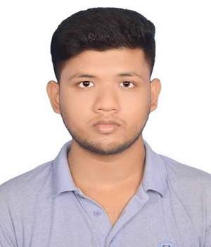 Mitul Roy