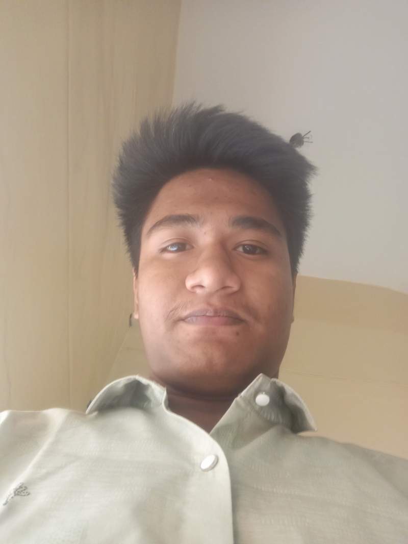 Pallab Borman