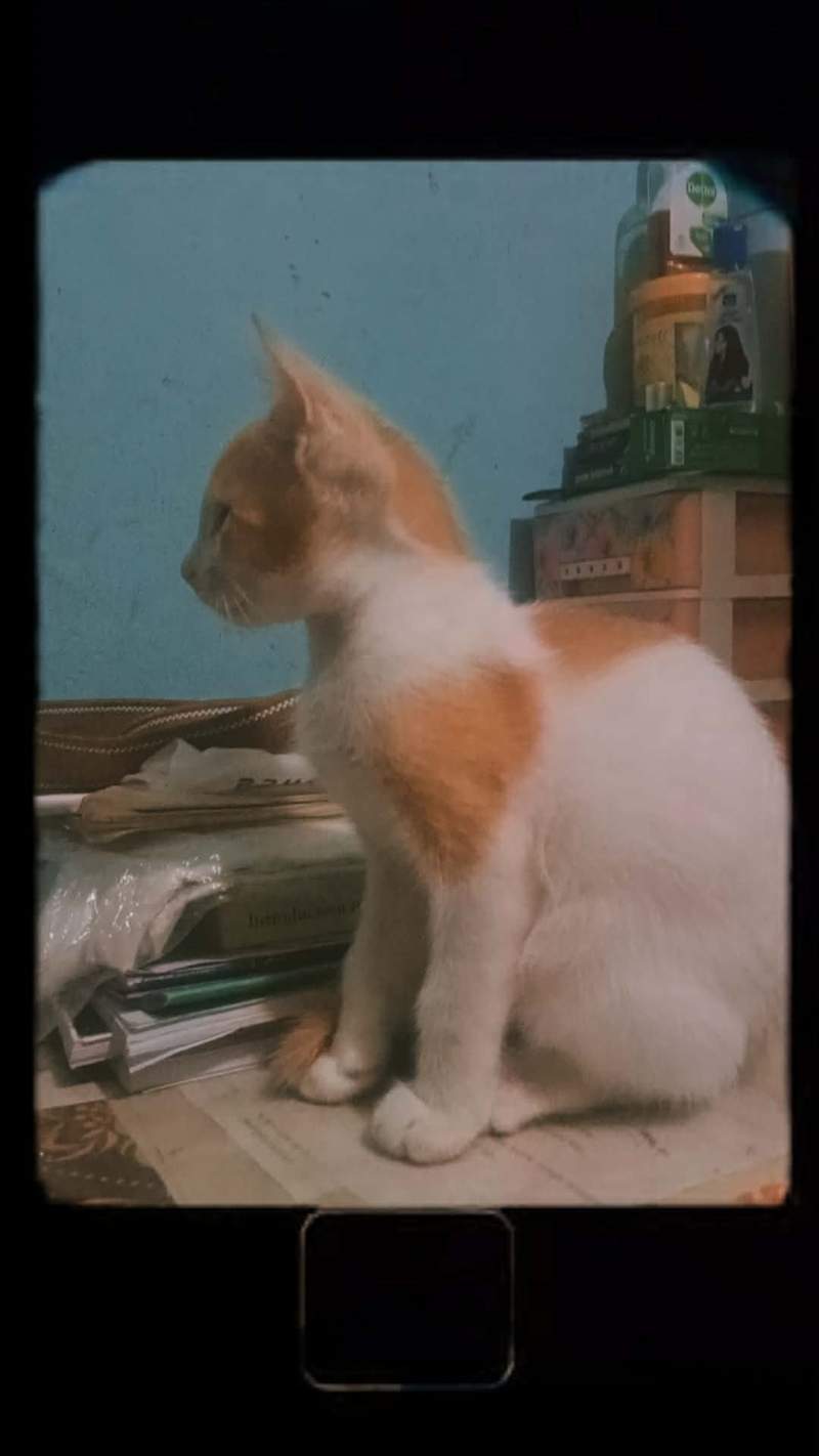 Jobayeda Sultana