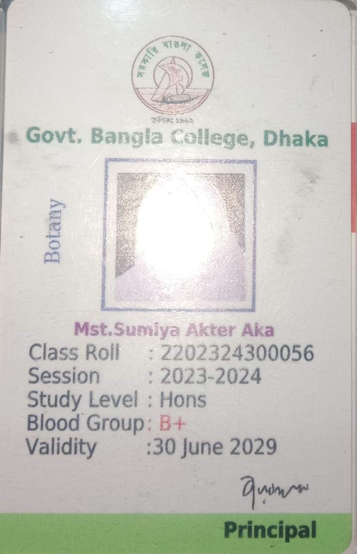 Sumiya Akter Eka